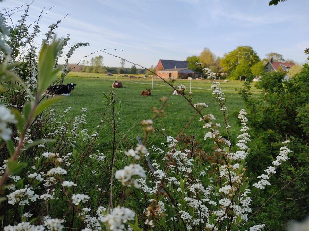 Cosyplace; Close To Beach, Nature, Train, Grocery Kopingebro Exteriör bild
